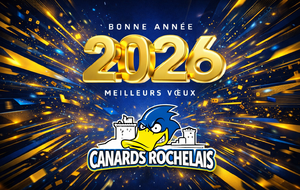 Bonne Année 2026